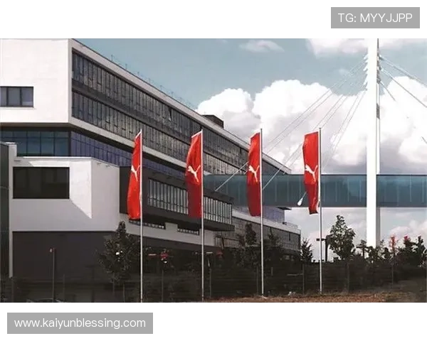 开云集团应对国际市场变化的战略调整与应对措施