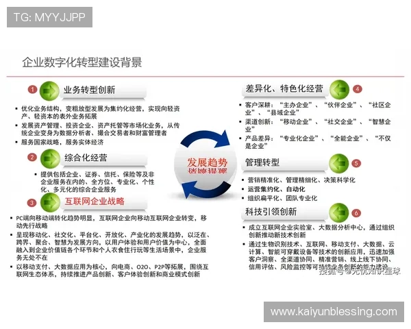 开云综合：利用科技创新推动企业数字化转型与市场快速响应