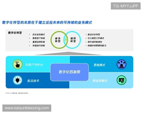 开云集团品牌一览表：分析集团品牌在数字化转型中的创新举措与未来发展方向