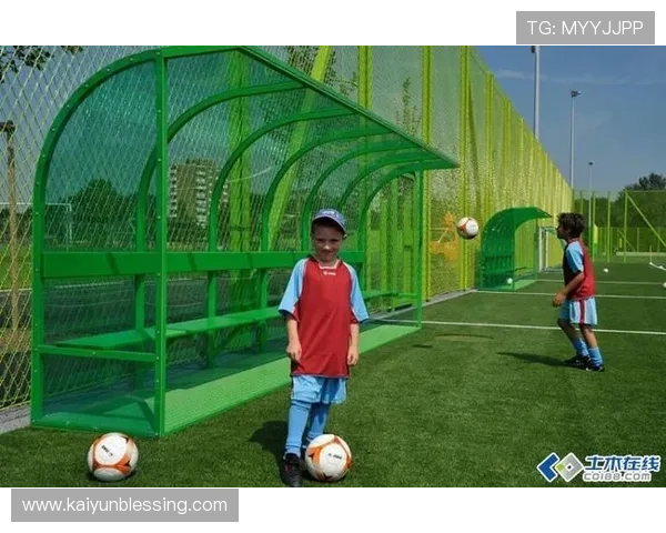 安全可靠的kb体育平台下载途径，保障个人信息安全与顺畅使用体验指南