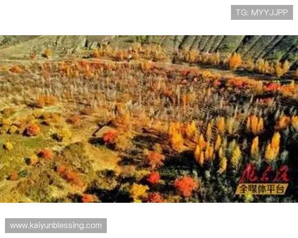 开云app登录入口出现异常时的排查步骤与专业修复建议