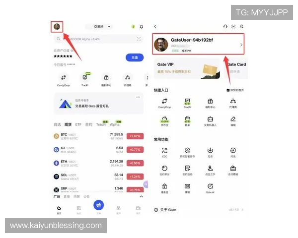 开云官网入口网址官方入口地址，确保用户快速找到正规登录入口避免钓鱼风险