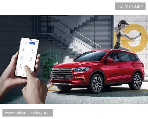 开云真人app安全保障措施，保障玩家个人信息与资金安全