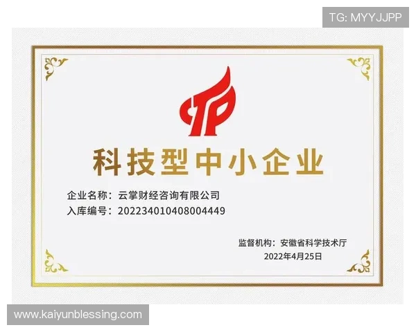 云开国际站为中小企业提供一站式海外市场推广解决方案的优势分析
